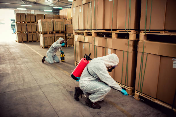 Best Termite Control Services  in Fitzgerald, GA