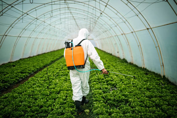 Best Local Pest Control Services  in Fitzgerald, GA