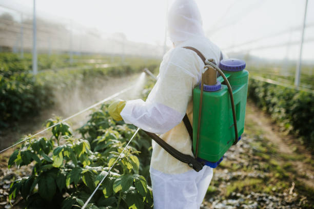 Best Flea Control Services  in Fitzgerald, GA